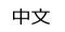 中文